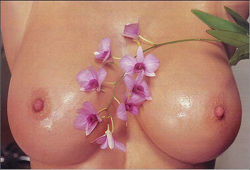 #2241 на oboobs.ru