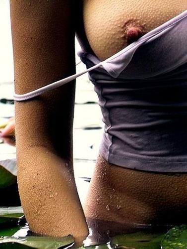 #9005 на oboobs.ru