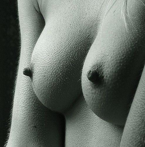 #11181 на oboobs.ru