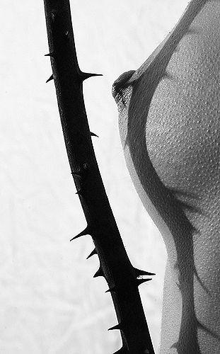 #16693 на oboobs.ru