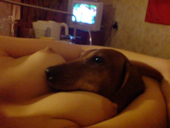 #20416 на oboobs.ru