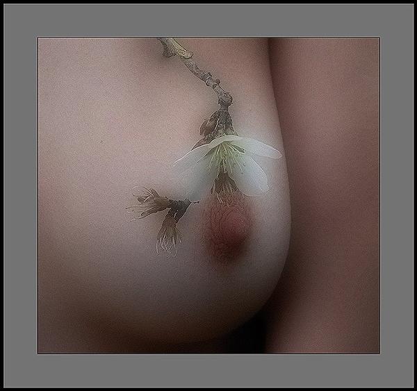 шумные сиськи на oboobs.ru