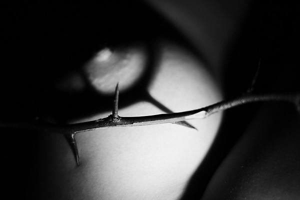 шумные сиськи на oboobs.ru