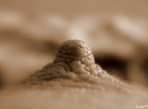 шумные сиськи на oboobs.ru