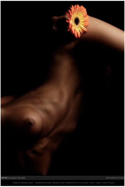 шумные сиськи на oboobs.ru