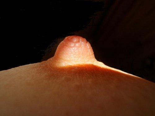 шумные сиськи на oboobs.ru