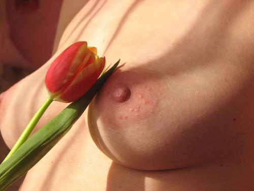 шумные сиськи на oboobs.ru