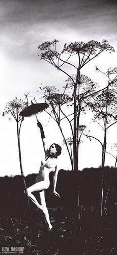 шумные сиськи на oboobs.ru