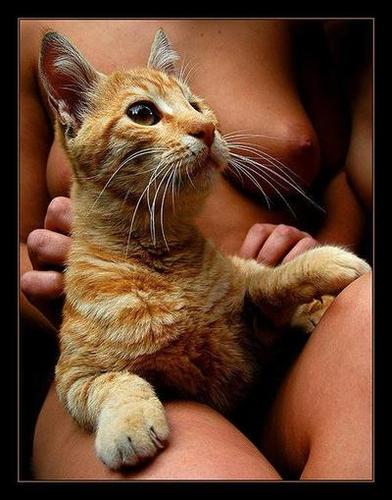 шумные сиськи на oboobs.ru