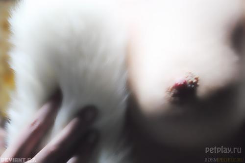 шумные сиськи на oboobs.ru