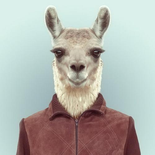 шумные сиськи на oboobs.ru